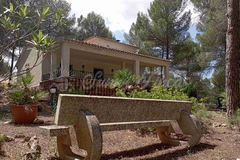 Landejendom i Ayora, Valencia, Ayora - € 186.000 | Ref: SF0459 - foto 22